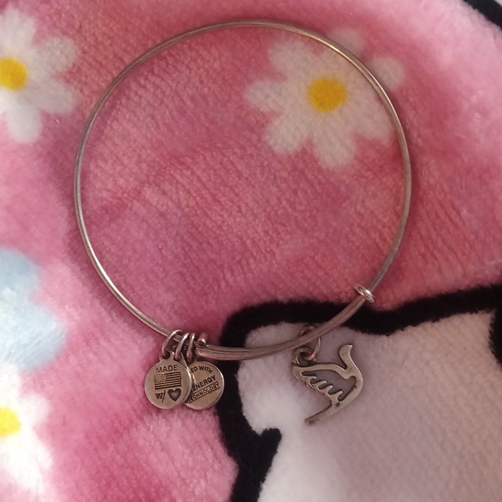 Alex and Ani Bracelet
